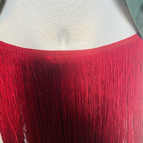 Very Rare Burgundy silk Fringe Skirt - Picture 6 of 6